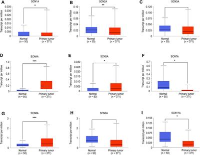 Comprehensive Analysis to Identify the Encoded Gens of Sodium Channels as a Prognostic Biomarker in Hepatocellular Carcinoma